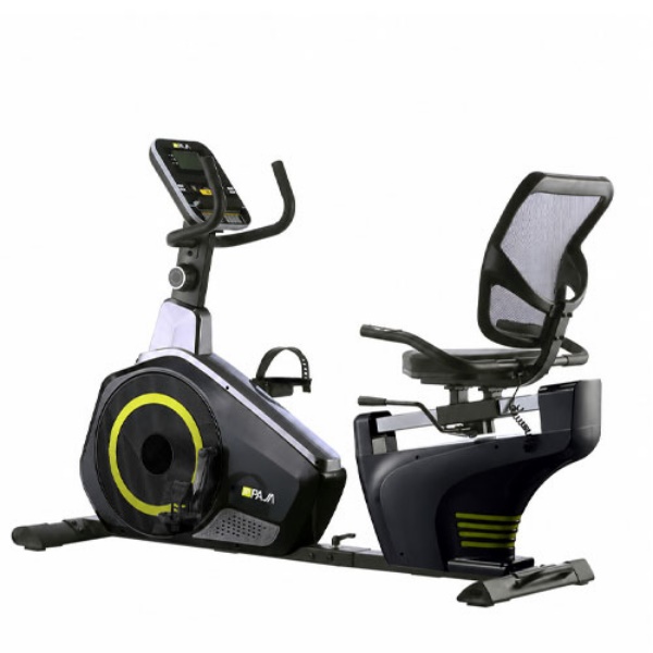 دوچرخه ثابت خانگی مبله پاژا مدل YK-10M09R