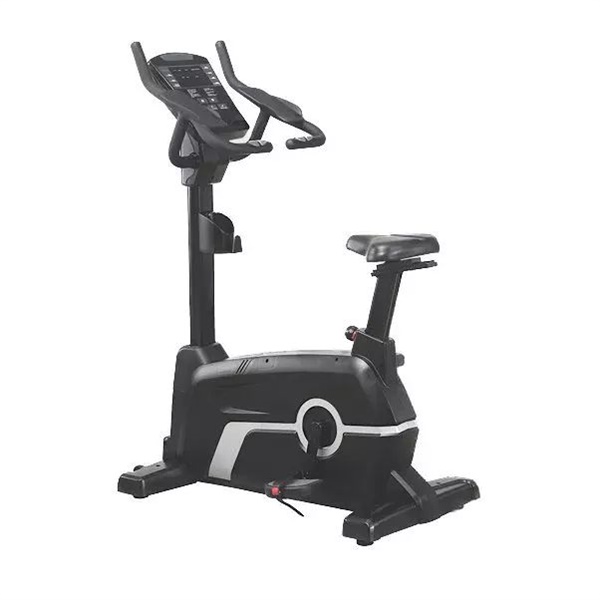 دوچرخه ثابت اکوفیت مدل 9400