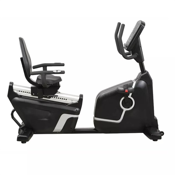دوچرخه ثابت اکوفیت مدل 9500