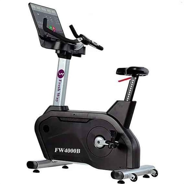 دوچرخه ثابت باشگاهی فرش وی مدل FW4000B