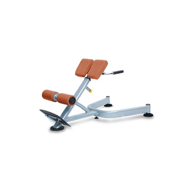 نیمکت پروتئوس PROF-509B